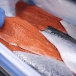 قیمت روز ماهی سالمون