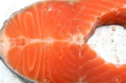 صادرات ماهی سالمون