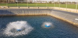 لیست قیمت دستگاه اسپلش