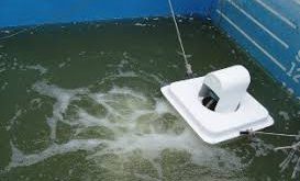 قیمت اسپلش پرورش ماهی